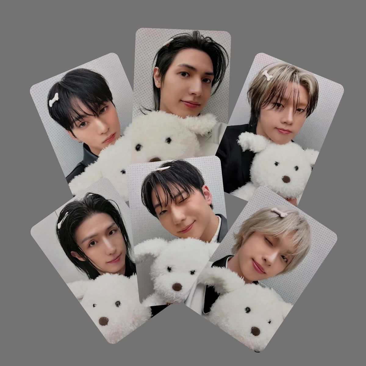 Xdinary Heroes Dead And Pob Photocards Teddy Bear Vers
