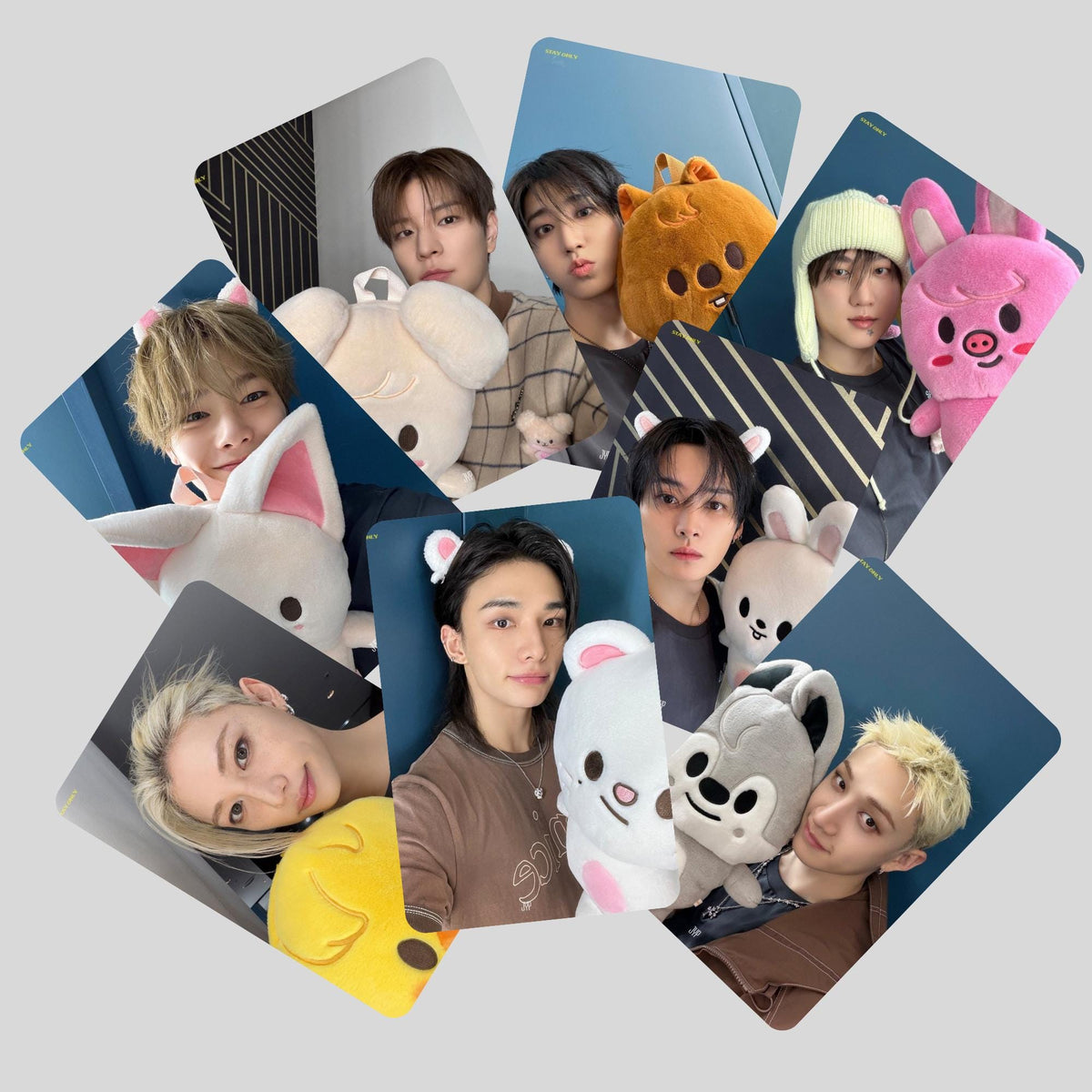 Stray Kids SKZ 6th Fanmeeting Skzoo Photocards