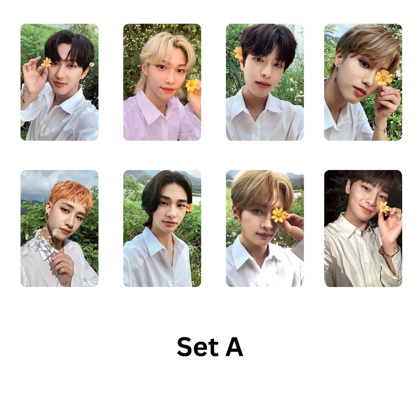 Stray Kids SKZ No Easy Photocard Sets