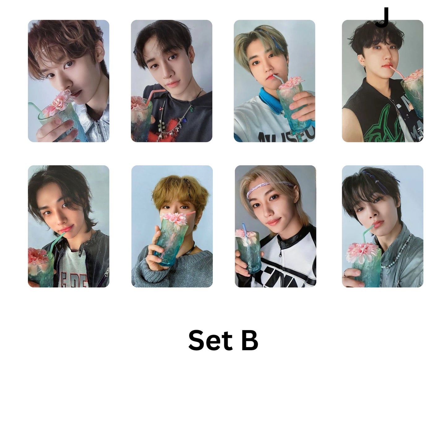 Stray Kids SKZ Social Path Photocards