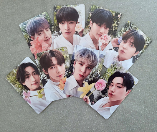 Ateez Flowering Day Photocard Set