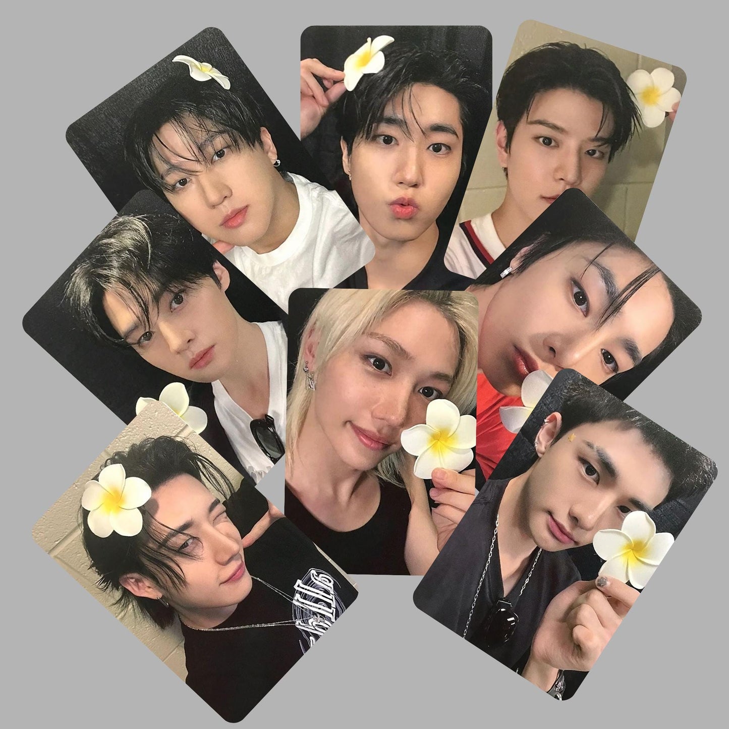 Stray Kids SKZ Karma Pob Photocards Flower Vers