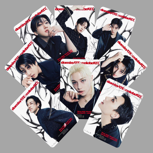 Stray Kids SKZ Dominate Celebrate Teaser Photocards