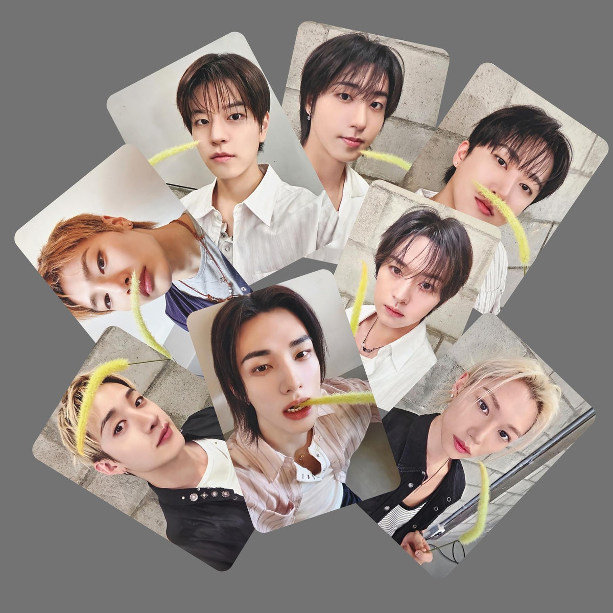 Stray Kids SKZ Run it This & That Pob Photocards Ver 1