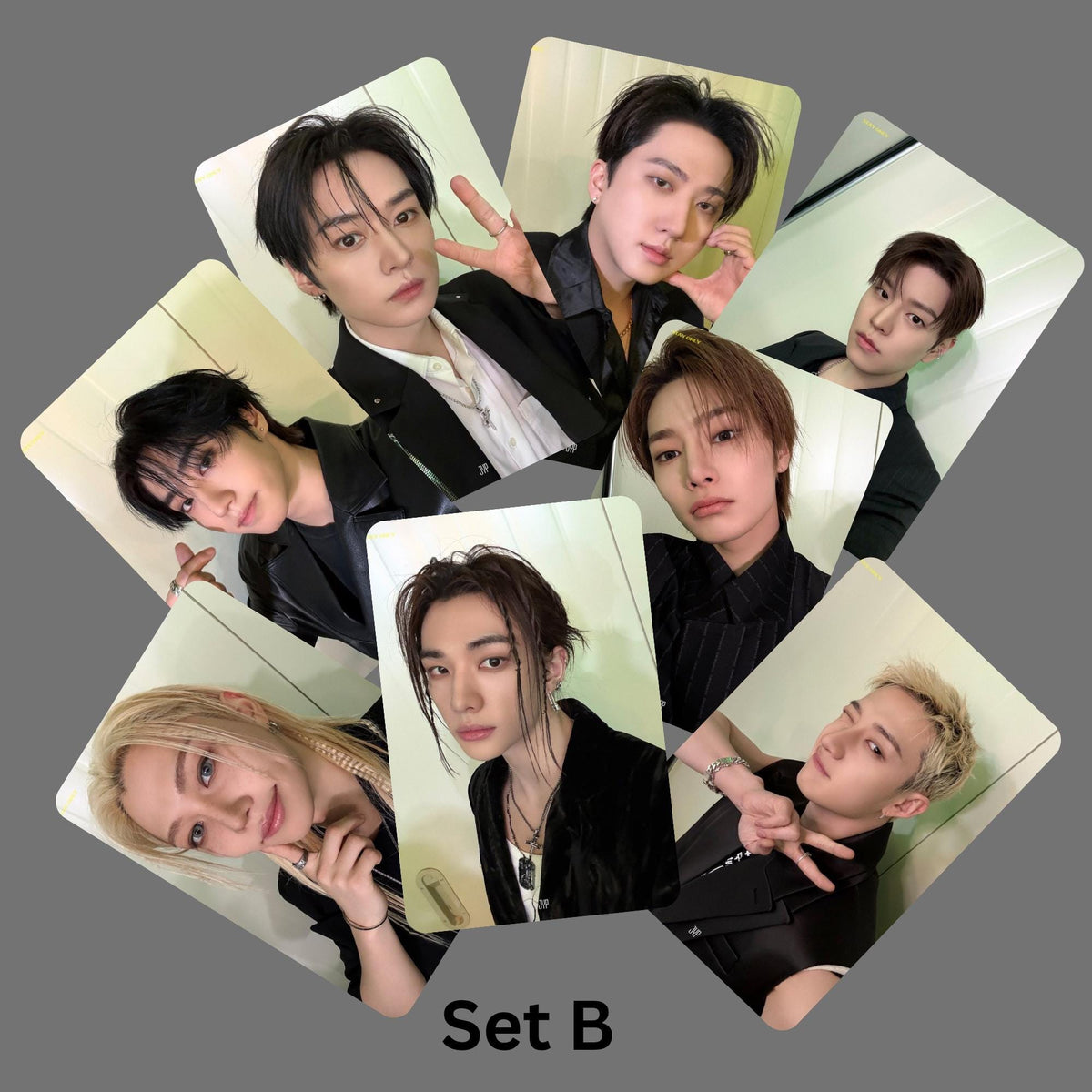 Stray Kids SKZ 6th Fanmeeting Fans Only Photocards 3 Vers
