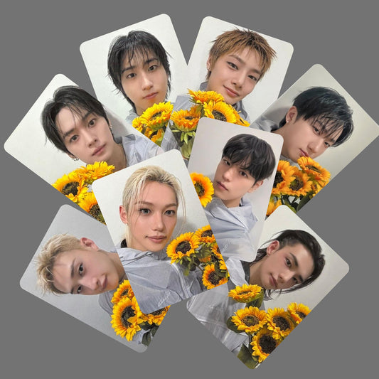 Stray Kids SKZ Run it Nagoya Offline POB Suiatsu Photocards Sunflower